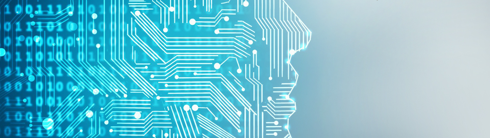 banner-Xact Data Discovery